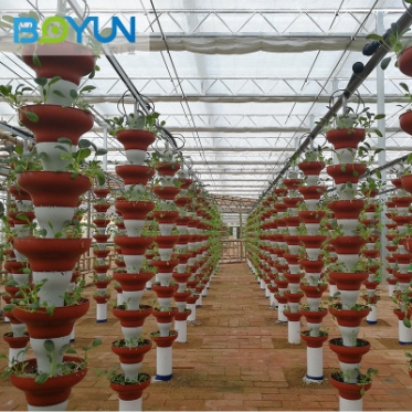 台州叠碗立式基质栽培 承接无土栽培工程设计安装及技术指导
