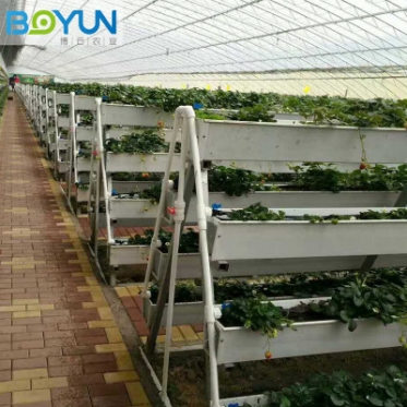 韩城无土栽培草莓种植槽 加工定制 承接无土栽培设备设计安装及工程